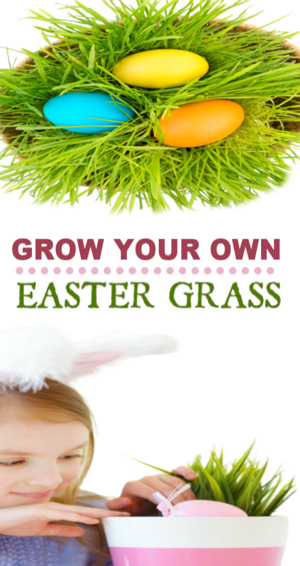 DIY Easter Basket Grass